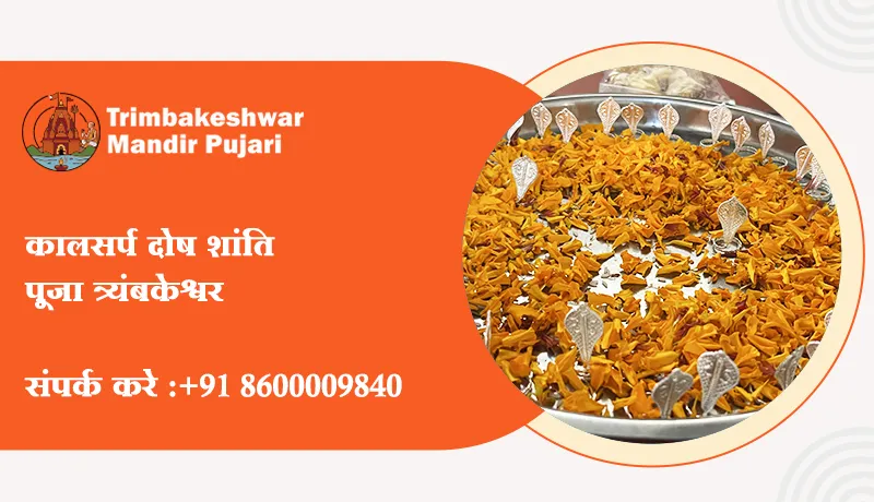 कालसर्प दोष शांति पूजा त्र्यंबकेश्वर